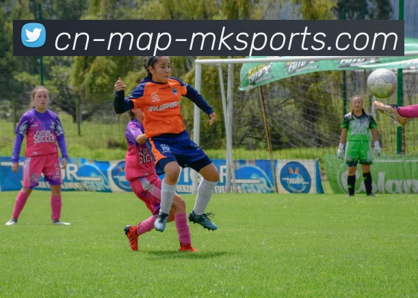 MK体育平台生态图